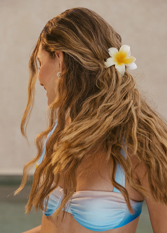 HAIR CLIP GRANDE